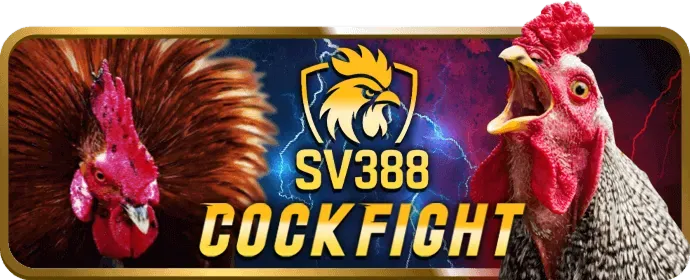 Cấu trúc hoa hồng 98win98 win